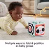 Fisher-Price Fold & Play Activity Panel Photo 9