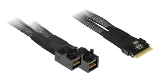 Inter-Tech SFF-8654 8i 2x SFF-8643 Black