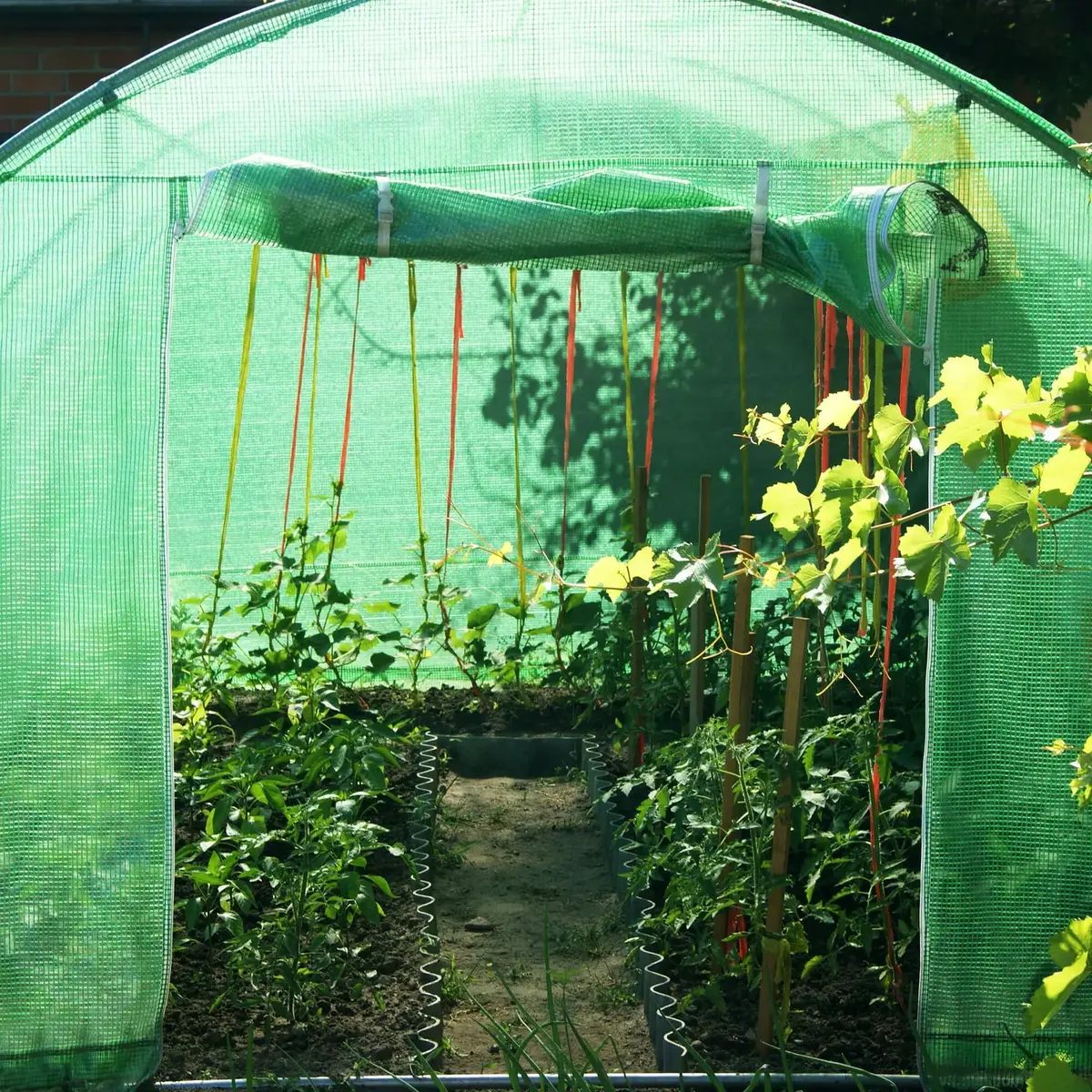 Greenhouse foil Springos GT0001F 2×2×2 m Photo 3