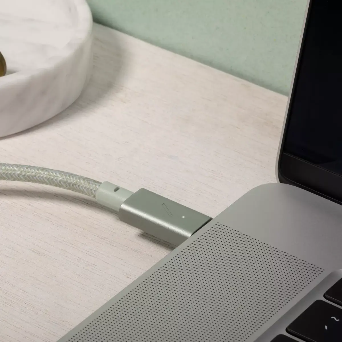 Native Union Belt Cable Pro USB-C 2.4 m Photo 4