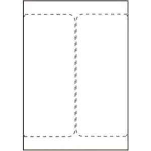 Printer label Capture SHIPLABEL105X220-I2P high durability