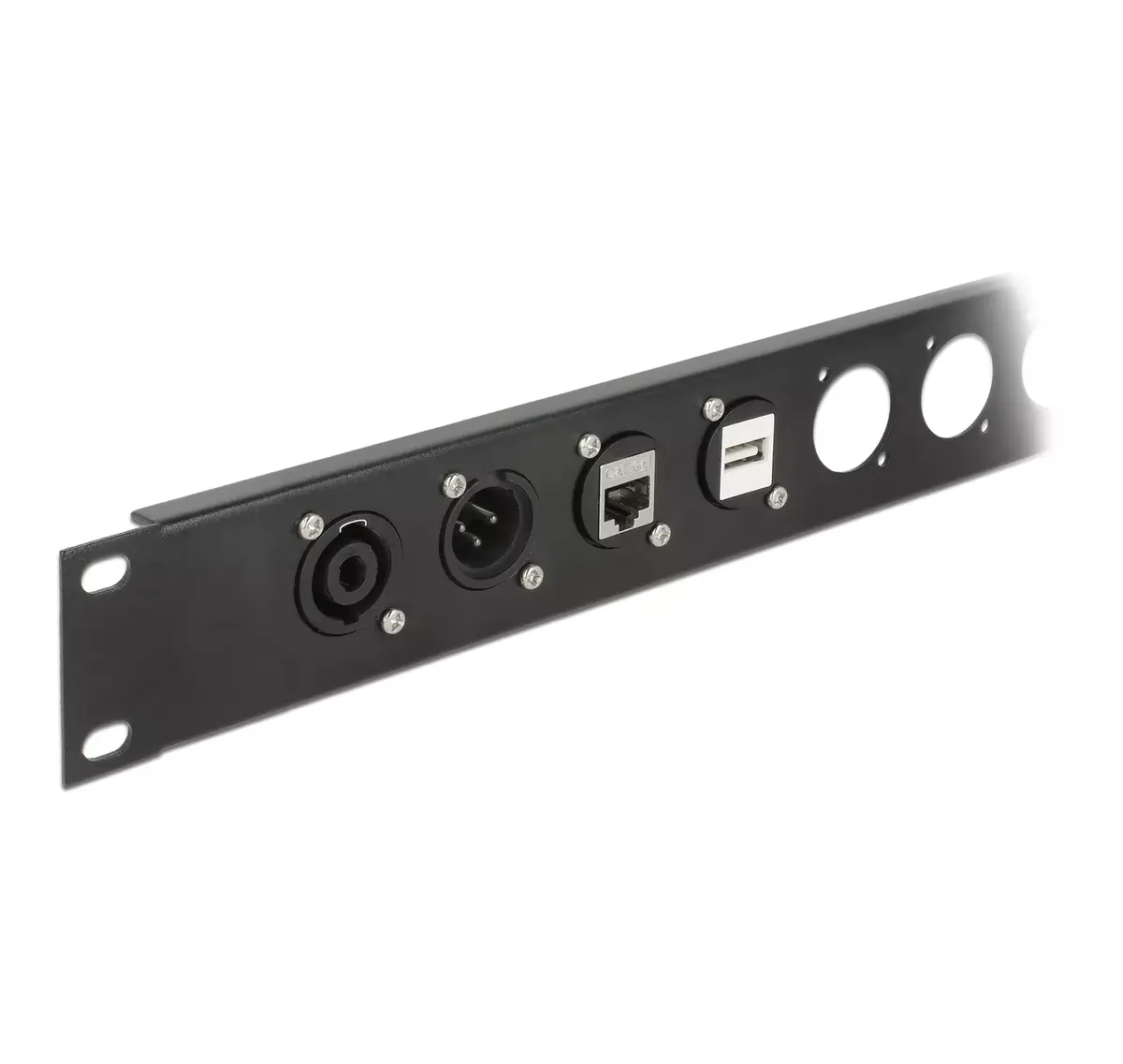 DeLOCK D-Type Module USB 5 Gbps Type-A female to female Photo 3