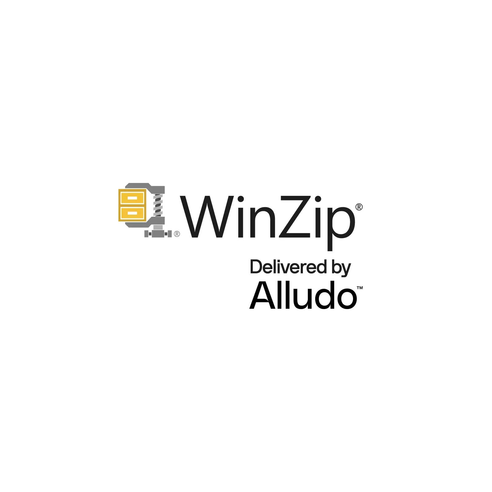 WinZip LCWZ28PROMLUG1 Photo 1