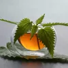 Glass Mug Springos HA7351 300 ml Photo 11