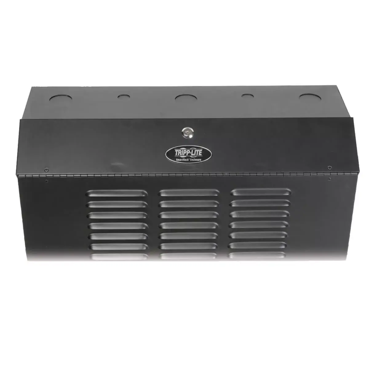 Sienas montāžas rack skapja Tripp Lite SRWF6U36 Photo 5