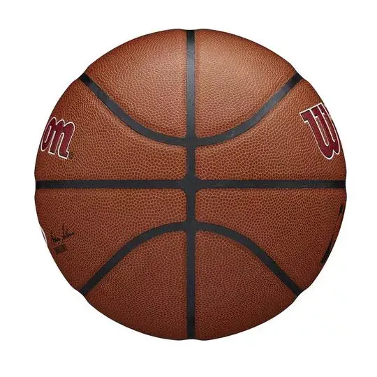 Basketbola bumba Wilson WTB3100XBMIA Photo 5