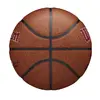 Basketbola bumba Wilson WTB3100XBMIA Photo 5