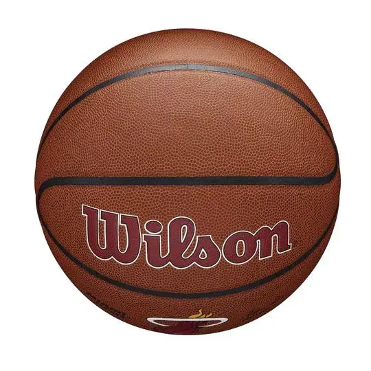 Basketbola bumba Wilson WTB3100XBMIA Photo 6