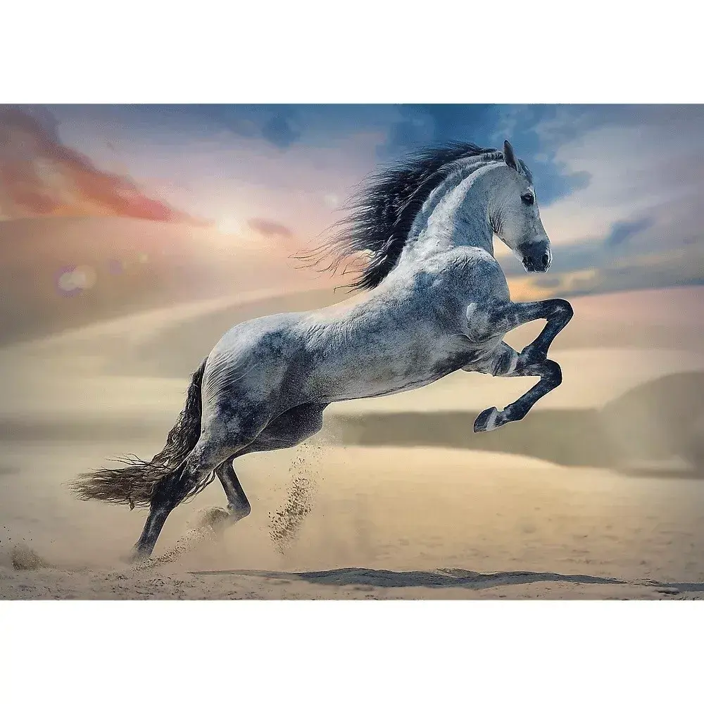Puzle 1000 gab. TREFL Majestic horse Photo 2