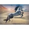 Puzle 1000 gab. TREFL Majestic horse Photo 2