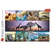 Puzzle TREFL Kolage Africa 1000 gab. Photo 3