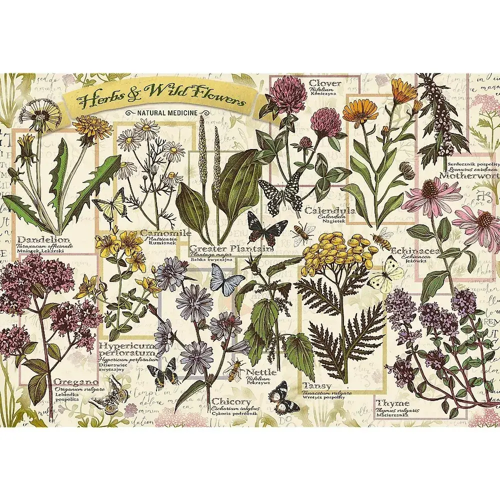 Пазл 500 дет. TREFL Herbarium Medicinal Herbs Photo 2