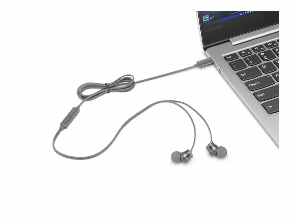 Lenovo 300 USB-C вставные наушники GXD1J77353 Photo 3