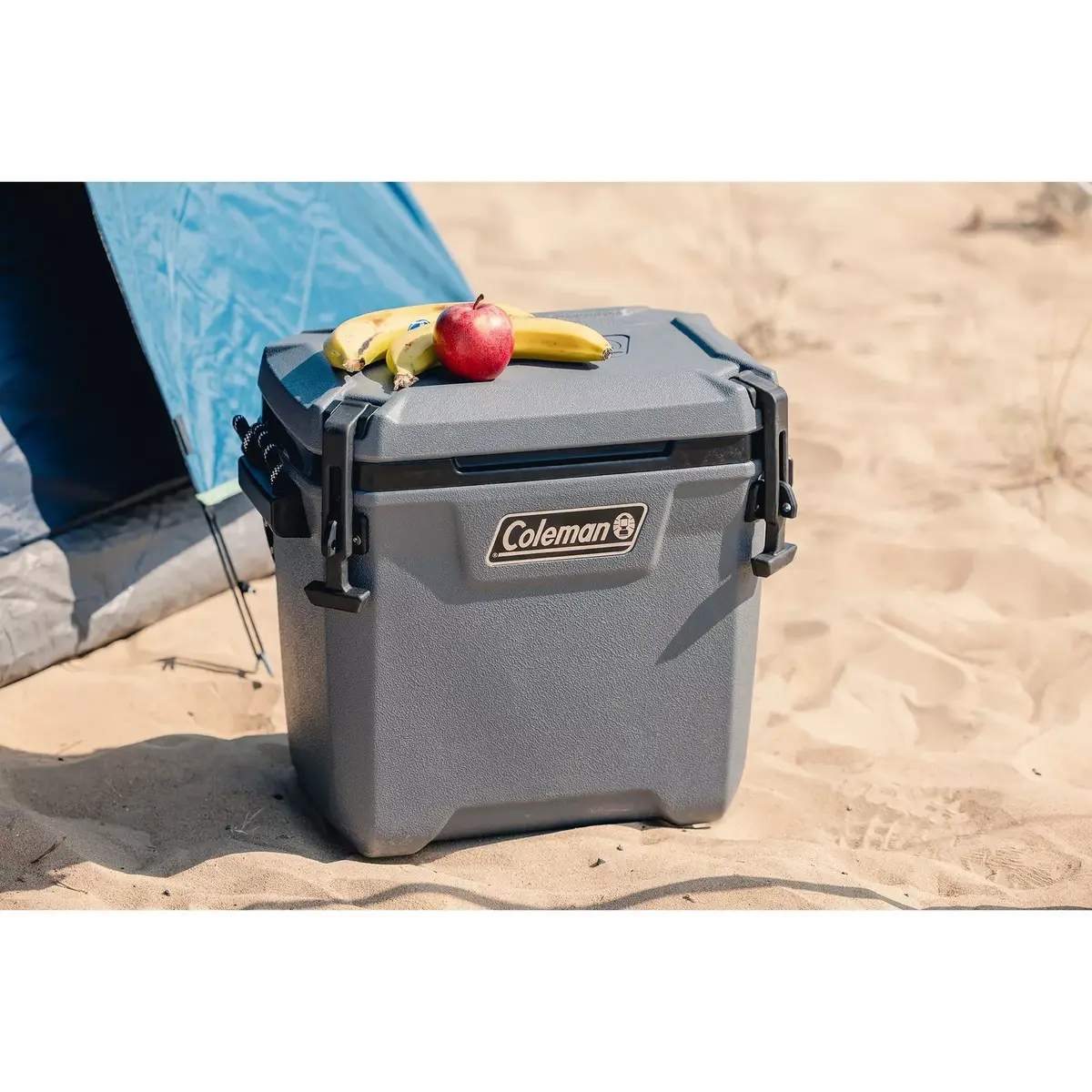 Coleman Convoy 28 QT cool box 2193723 Photo 5