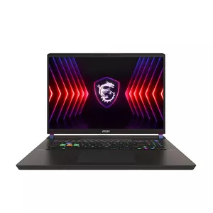 MSI Vector 17 HX A14VGG-216NL Laptop 43.2 cm (17") Quad HD+ Intel® Core™ i9 i9-14900HX 16 GB DDR5-SDRAM 1 TB SSD NVIDIA GeForce RTX 4070 Wi-Fi 7 (802.11be) Windows 11 Home Grey