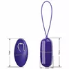 pretty love Arvin Violet пульт- яйцо Photo 4