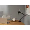 InLine Tablet Holder with Table Clamp up to 12.9" Photo 7