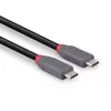 Lindy USB 4 Type C kabelis 2 m 240W 40 Gbit/s Photo 3