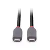 Lindy USB 4 Type C kabelis 2 m 240W 40 Gbit/s Photo 4