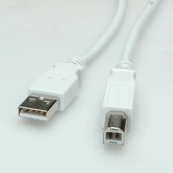 USB 2.0 Кабель A - B VALUE Photo 3
