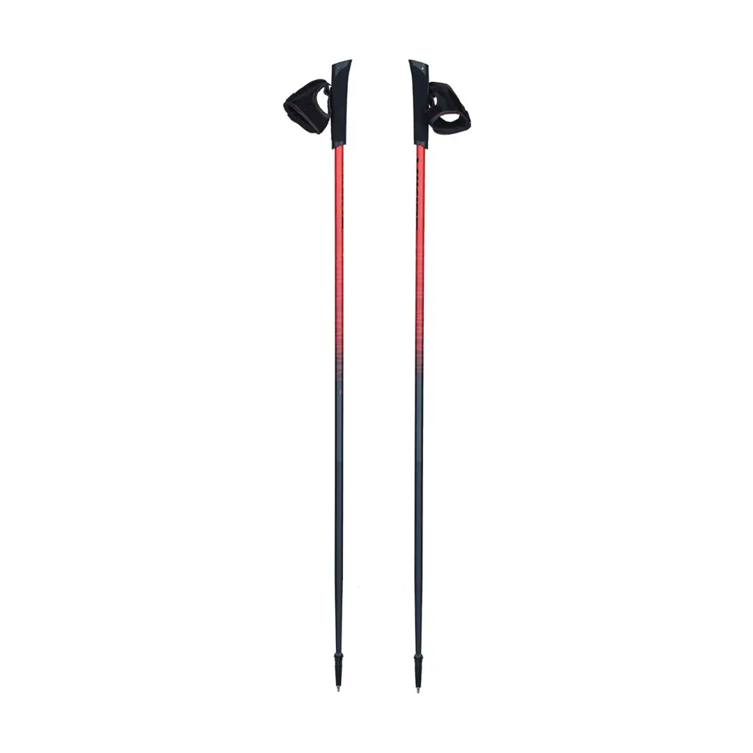 Nūjošanas nūjas Viking PRO-TRAINER fiksēts garums