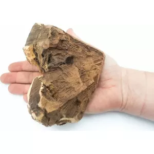 4DOGS Корень вереска для собак - жевательный L