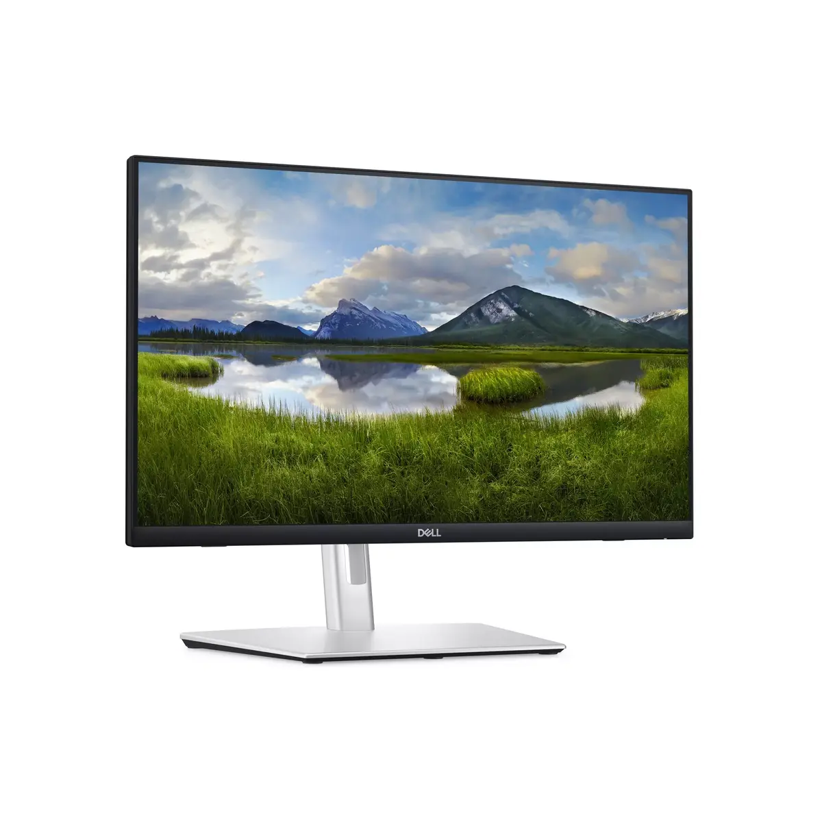 Monitors DELL P Series P2424HT Photo 3