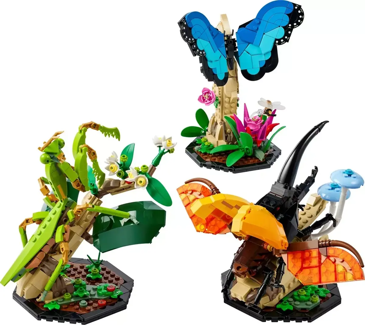 LEGO Ideas 21342 The Insect Collection set Photo 3