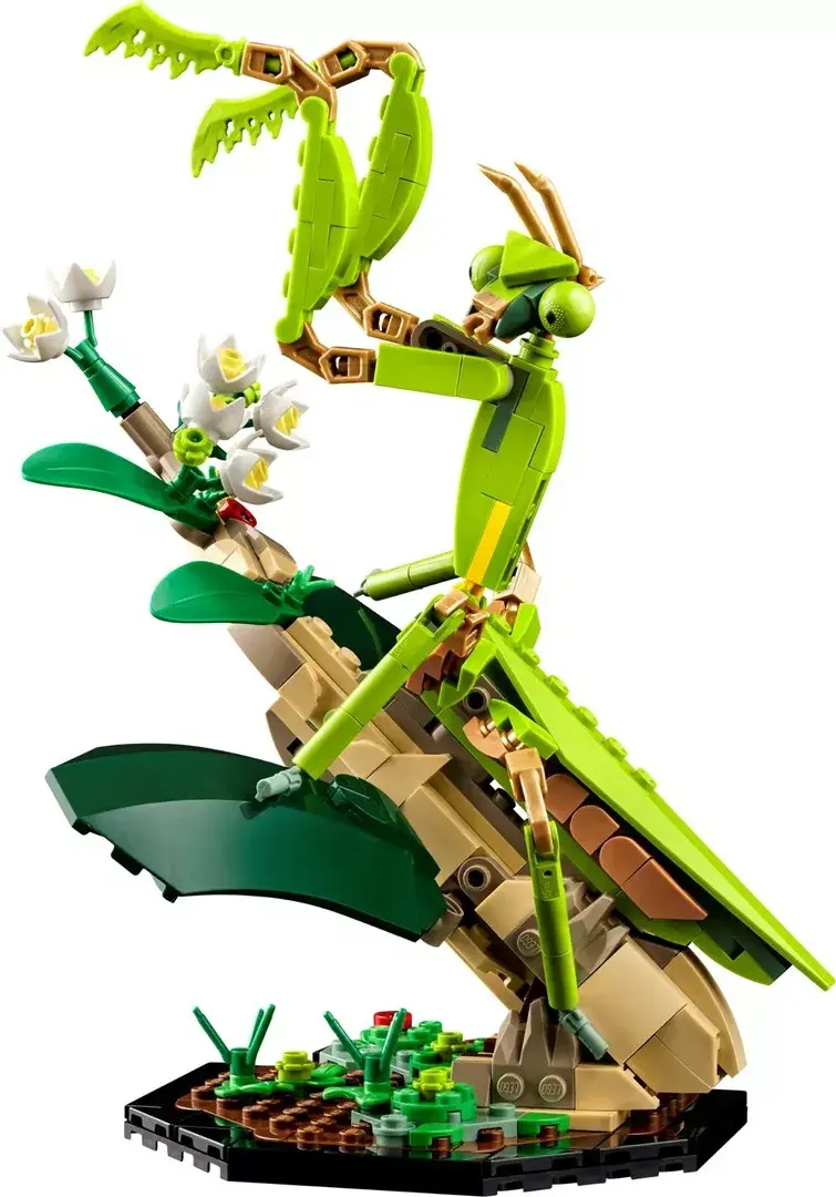 LEGO Ideas 21342 The Insect Collection set Photo 5