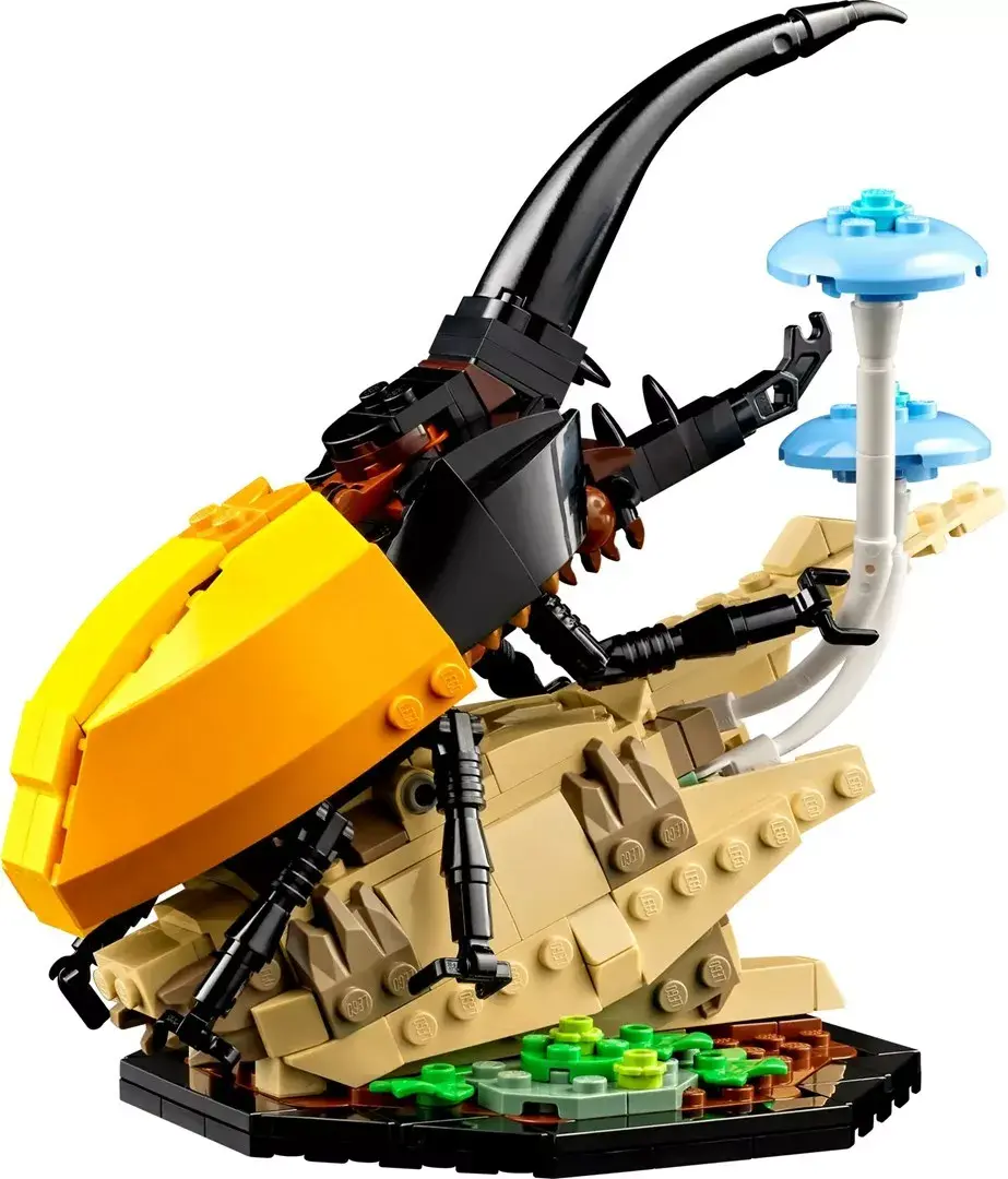 LEGO Ideas 21342 The Insect Collection set Photo 6