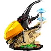 LEGO Ideas 21342 The Insect Collection set Photo 6