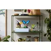 LEGO Ideas 21342 The Insect Collection set Photo 9
