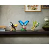 LEGO Ideas 21342 The Insect Collection set Photo 10