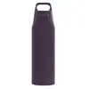 Sigg 6021.30 Stainless Steel Drinking Bottle 750 ml Photo 2