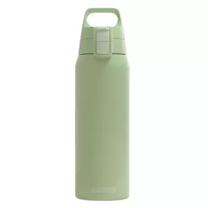 Drinking Bottle SIGG 6021.00 750 ml Stainless Steel Green
