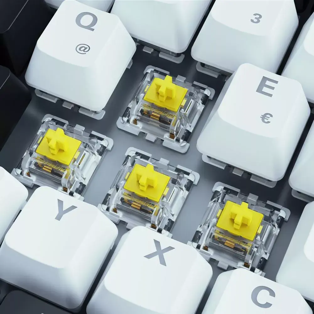 Keyboard Sharkoon SKILLER SGK50 S3 Photo 3