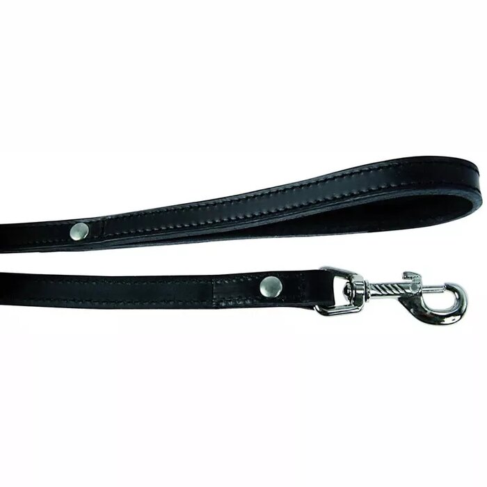 Pet collars and leashes