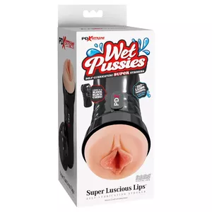 Masturbator Pipedream Wet Pussies Super Luscious Lips, silicone-look TPR, 21.6 cm total, 16.5 cm insert depth