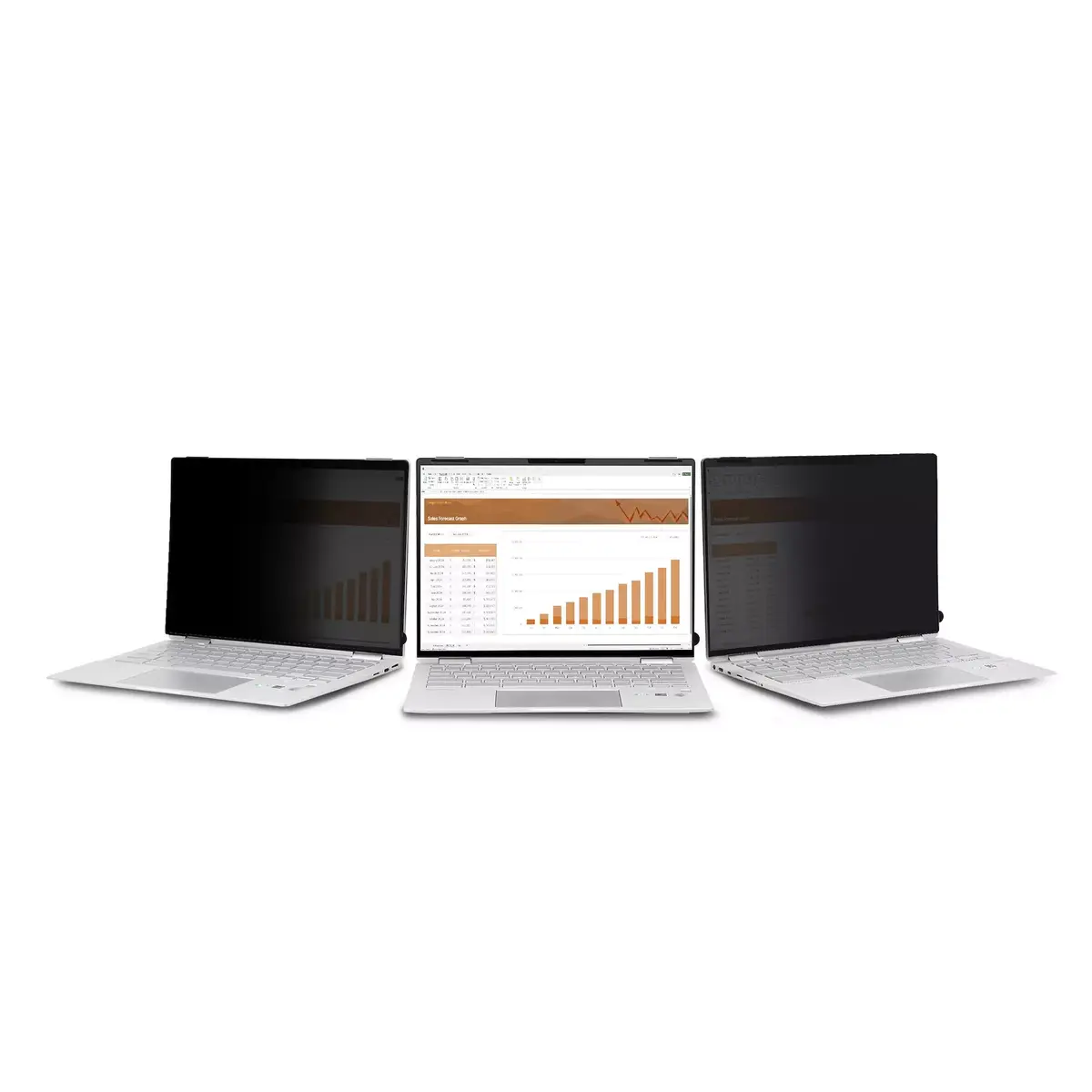Privātuma ekrāna filtrs StarTech.com 14LT-PRIVACY-SCREEN Photo 2