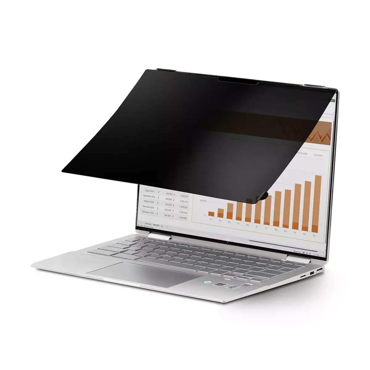 Privātuma ekrāna filtrs StarTech.com 14LT-PRIVACY-SCREEN Photo 3