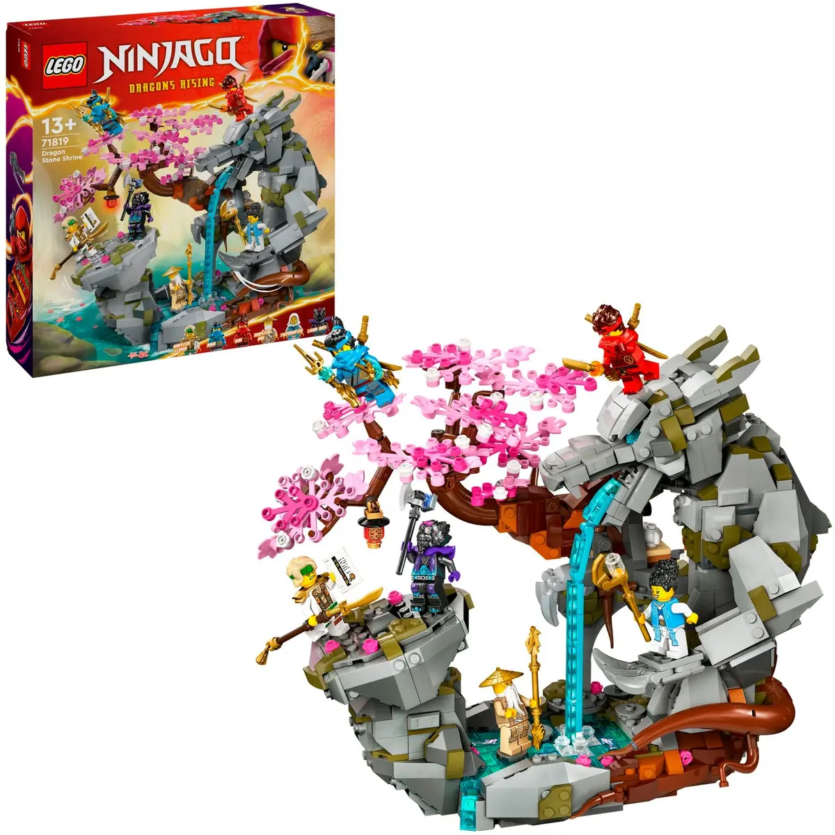 LEGO komplekts LEGO Ninjago 71819 Dragon