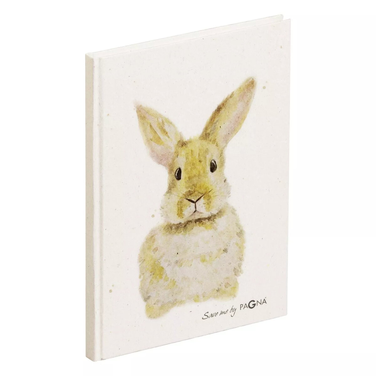 Stationery Accessories