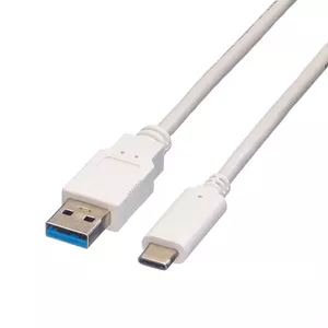 USB 3.1 Cable A-C M/M 1m VALUE 11.99.9011