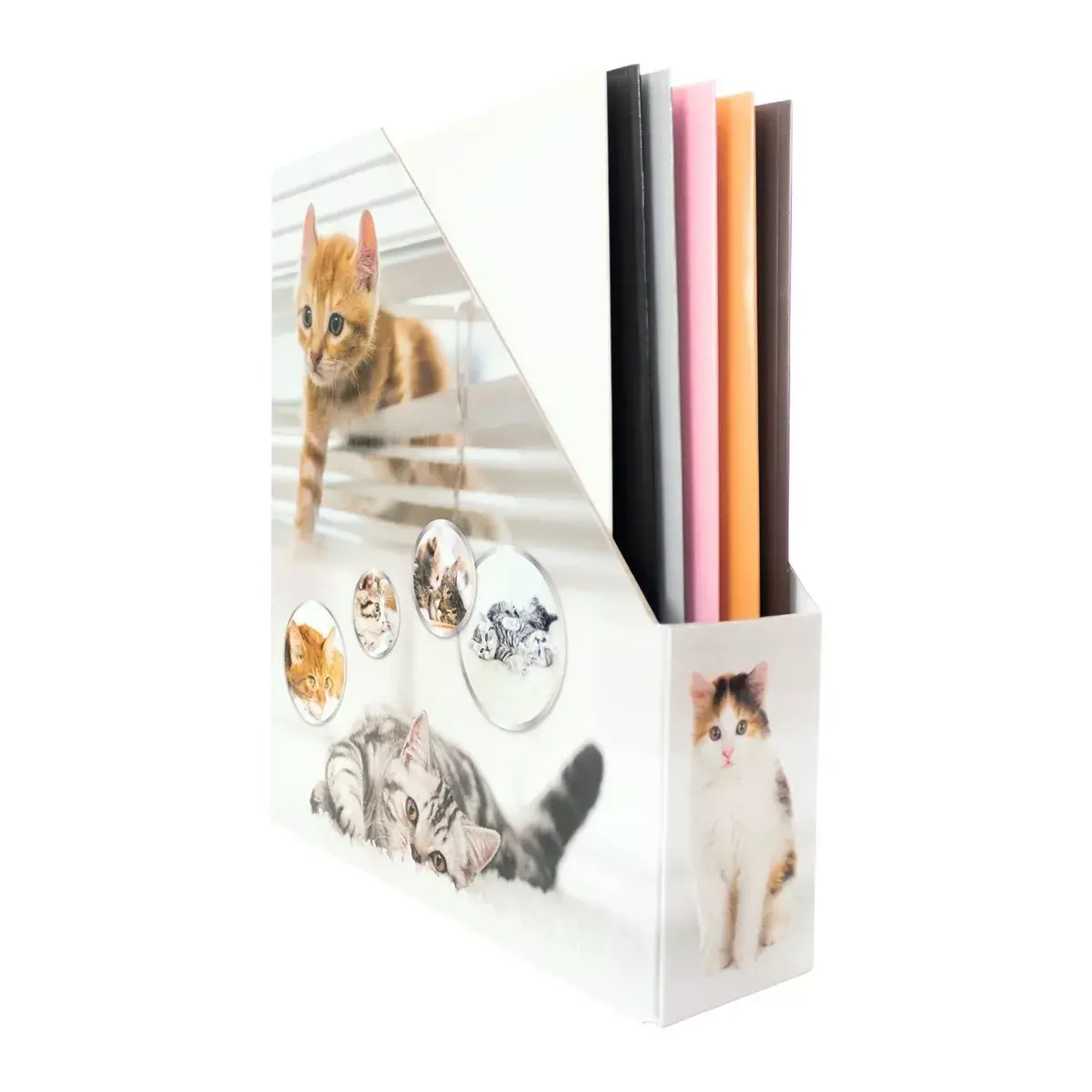 Magazine Rack HERMA Stehsammler Katzen A4 Yellow Photo 2