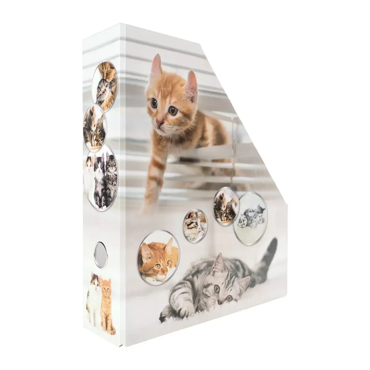 Magazine Rack HERMA Stehsammler Katzen A4 Yellow Photo 5
