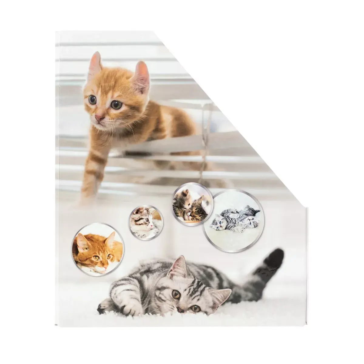 Magazine Rack HERMA Stehsammler Katzen A4 Yellow Photo 6