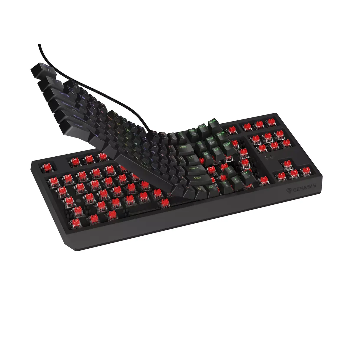 Клавиатура GENESIS Thor 230 TKL Photo 4
