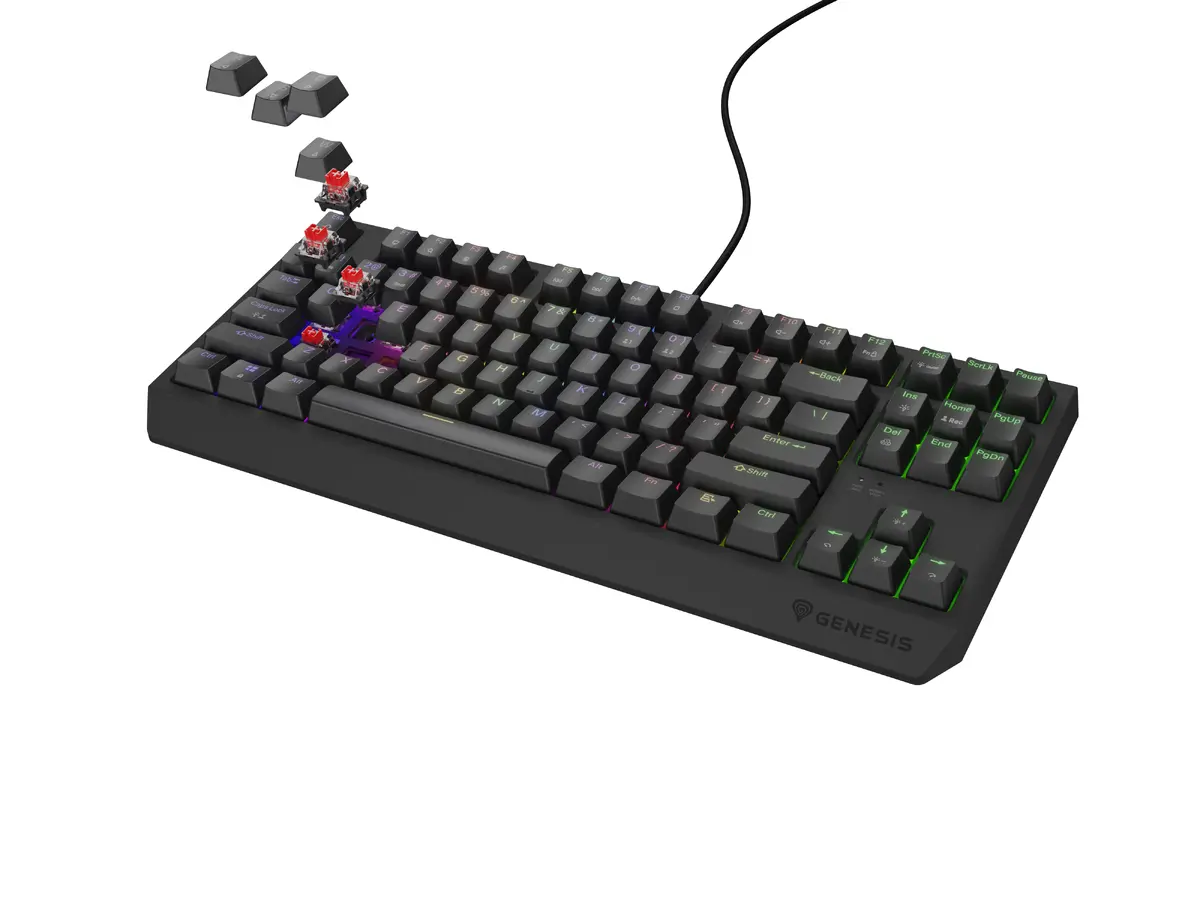 Mehāniskā spēļu tastatūra Genesis Thor 230
