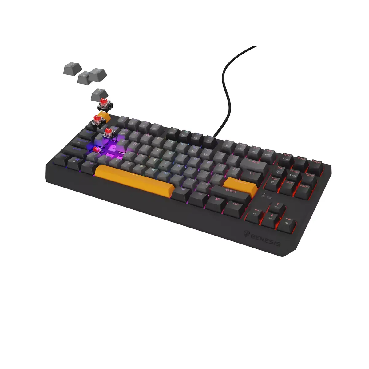 Клавиатура GENESIS Thor 230 TKL Photo 2
