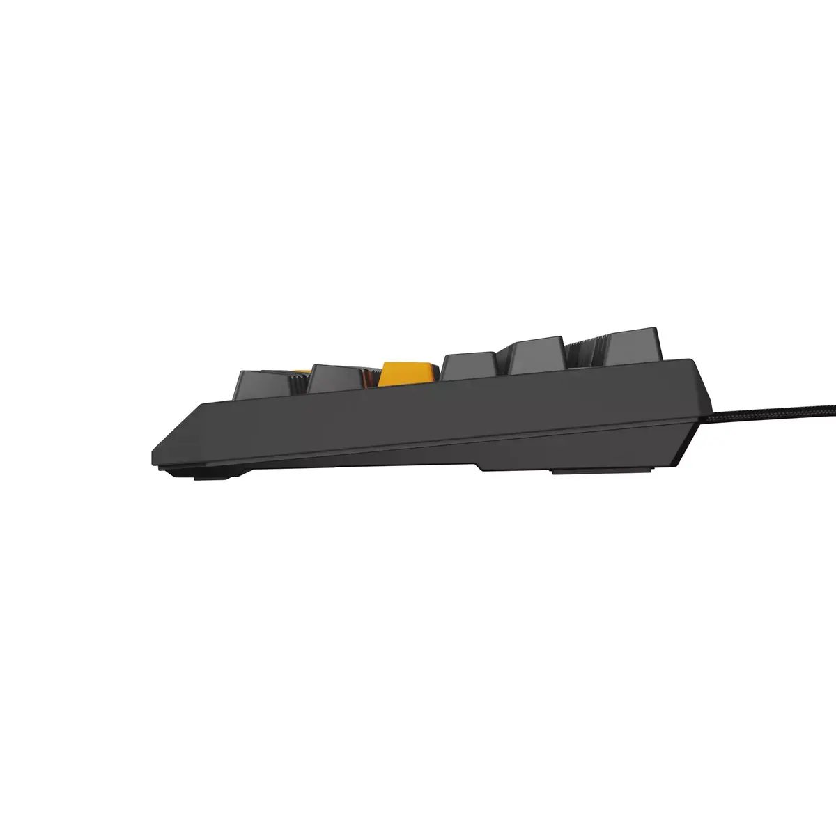Клавиатура GENESIS Thor 230 TKL Photo 10